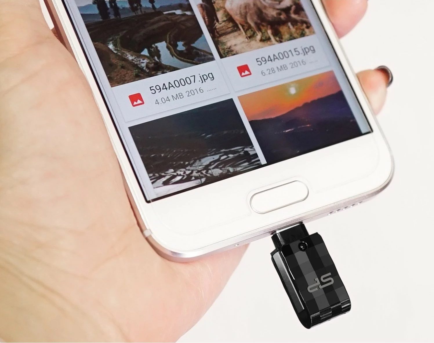 USB flash Silicon Power Mobile C31 64GB, USB Type-A/Type-C, zi, argjend