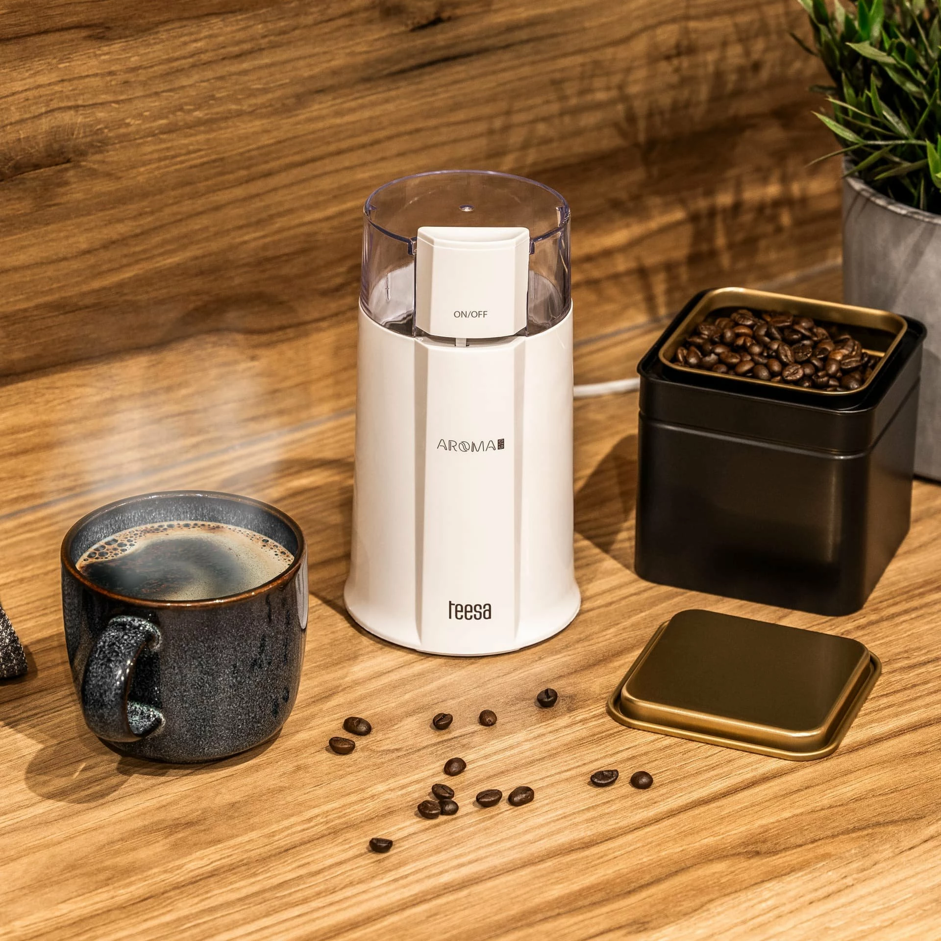 Mulli kafeje elektrik Teesa Aroma G10 160 W, kapacitet 50 g, i bardhë