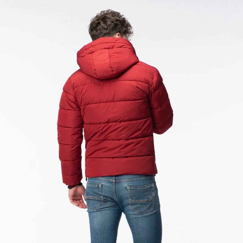 Pallto dimri për meshkuj Iguana