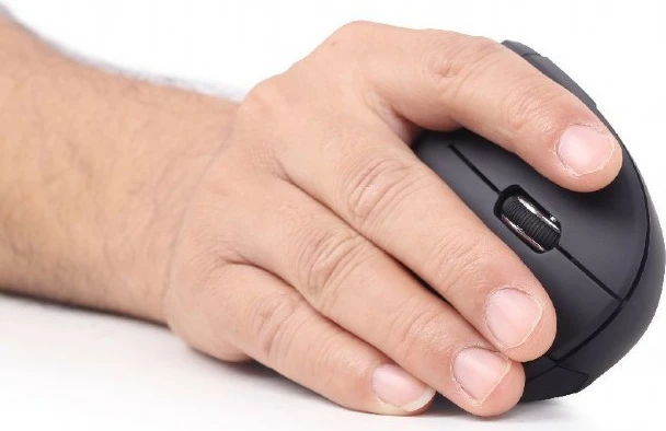 Maus pa tela Gembird MUSW-ERGO-01, 6 butona, Nano USB, i zi