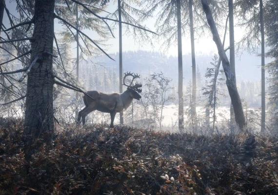 theHunter: Call of the Wild - Ultimate Hunting Bundle Global
