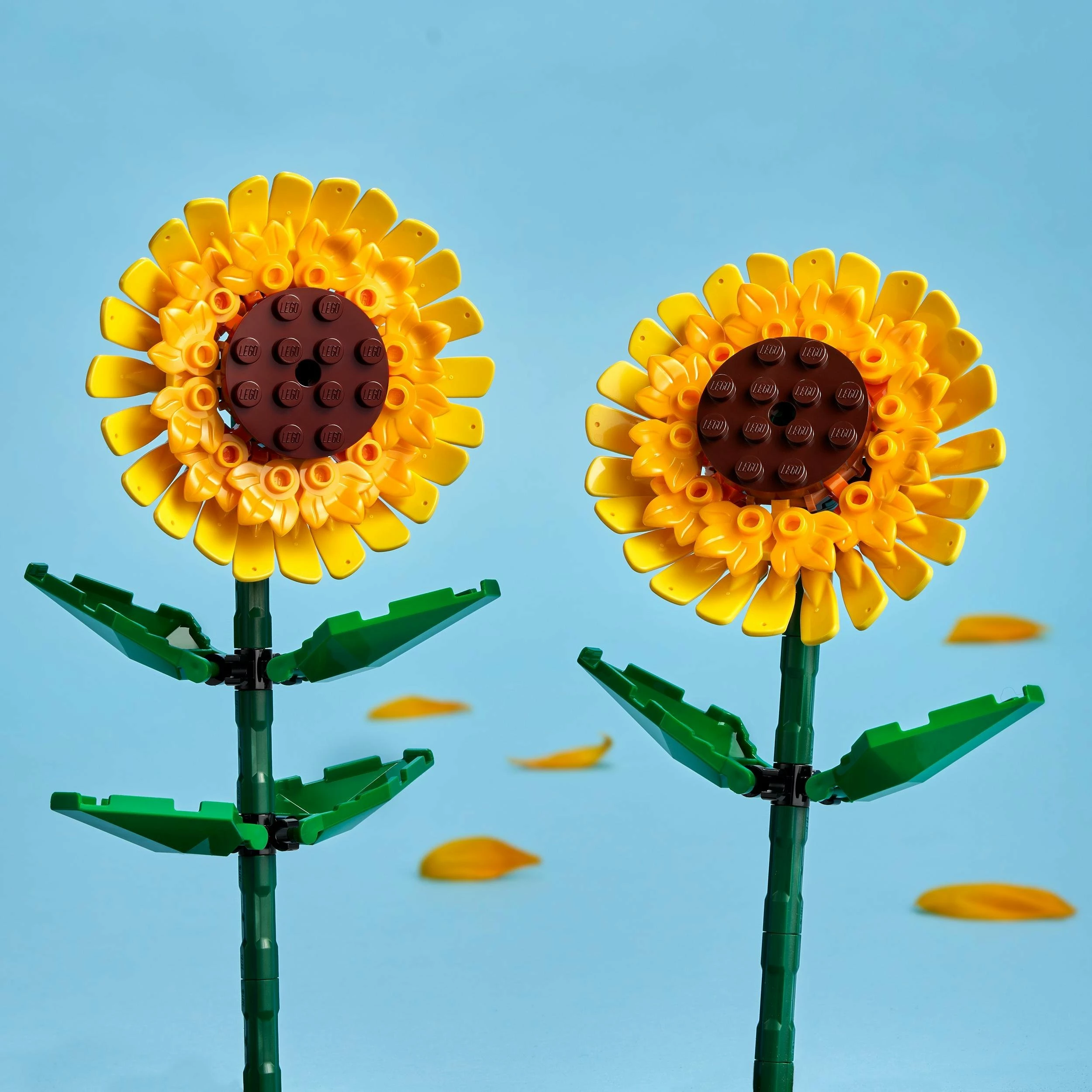 Set ndërtimi LEGO Sunflowers 40524, 191 pjesë, 2 luledielli, 25 cm
