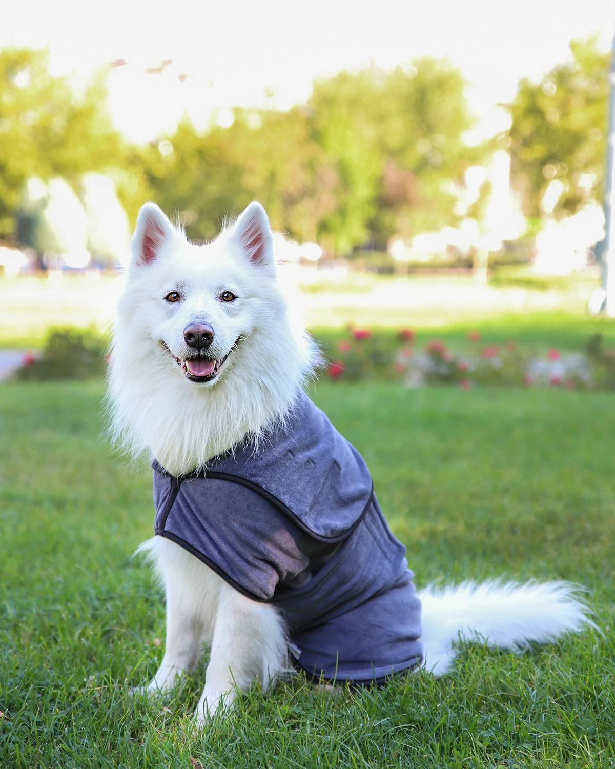 Rrobë banje për qen, ngjyrë gri, Paws & Whiskers, Drygown, XS