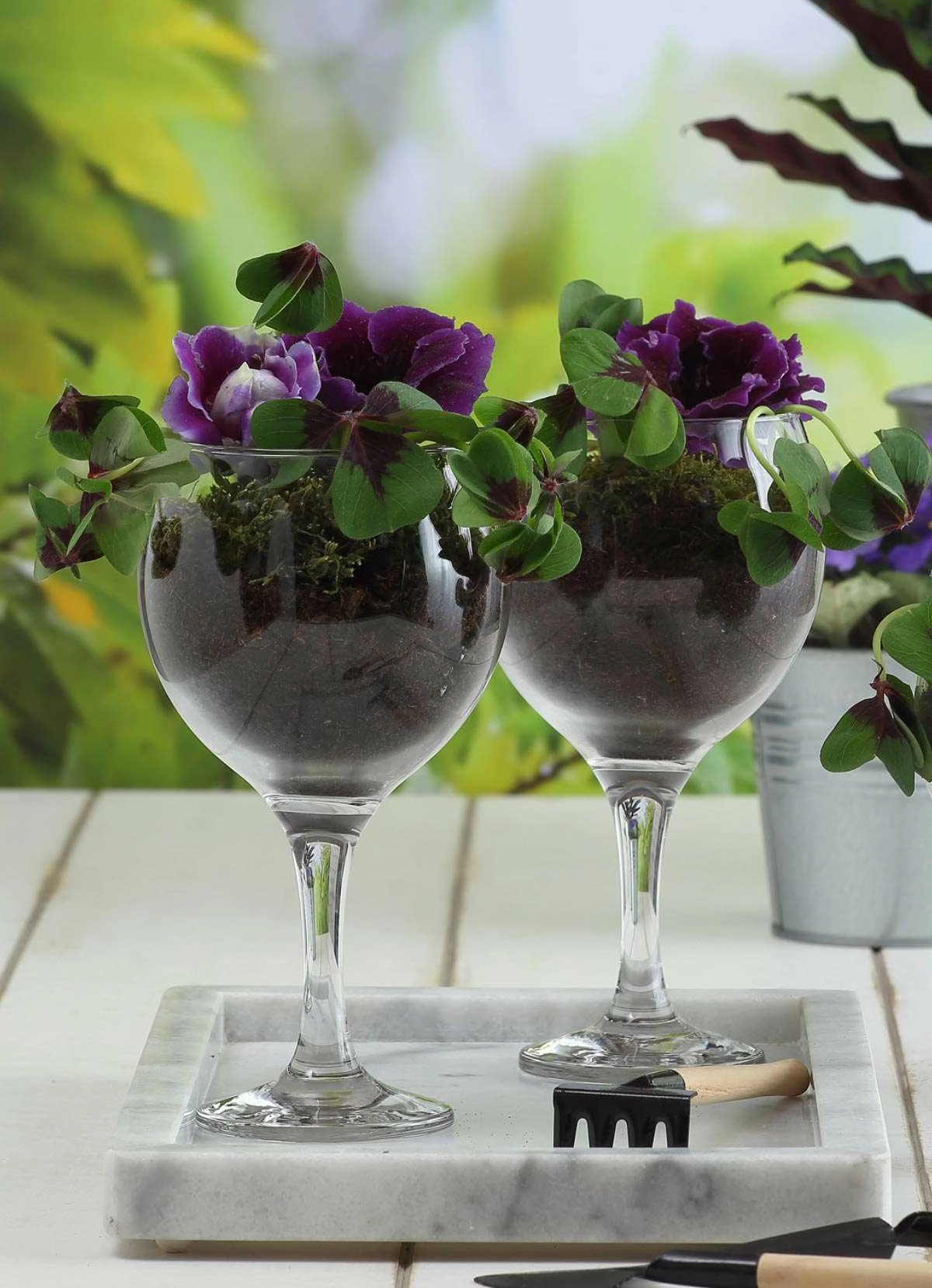 Set gotash prej qelqi (6 copë), Hermia, LV-MIS549F