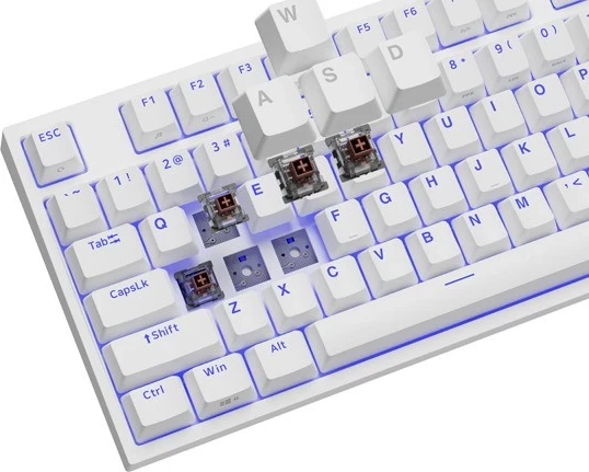 Tastierë Genesis Thor 404 TKL, Kailh Box Brown V2, me dritë RGB