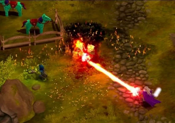 Magicka: The Other Side of the Coin DLC EN Global