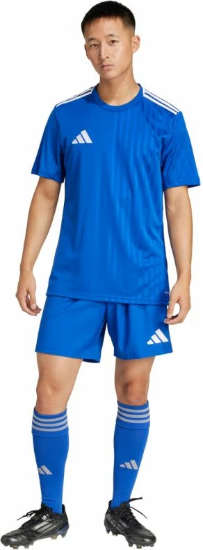 Shorce për meshkuj adidas, kaltër [Madhësia: M]