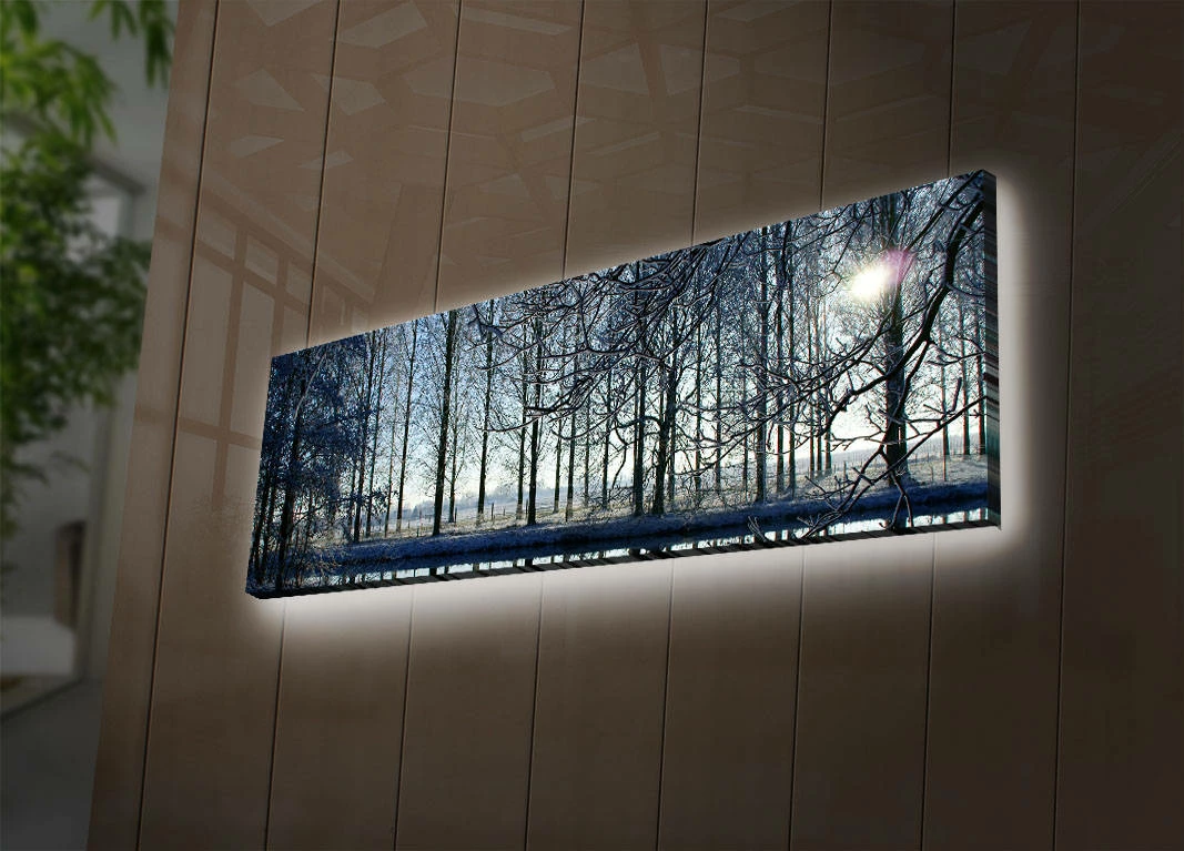 Pikturë dekorative me drita LED, Wallity, 3090DACT-37, shumëngjyrëshe, 30x90cm