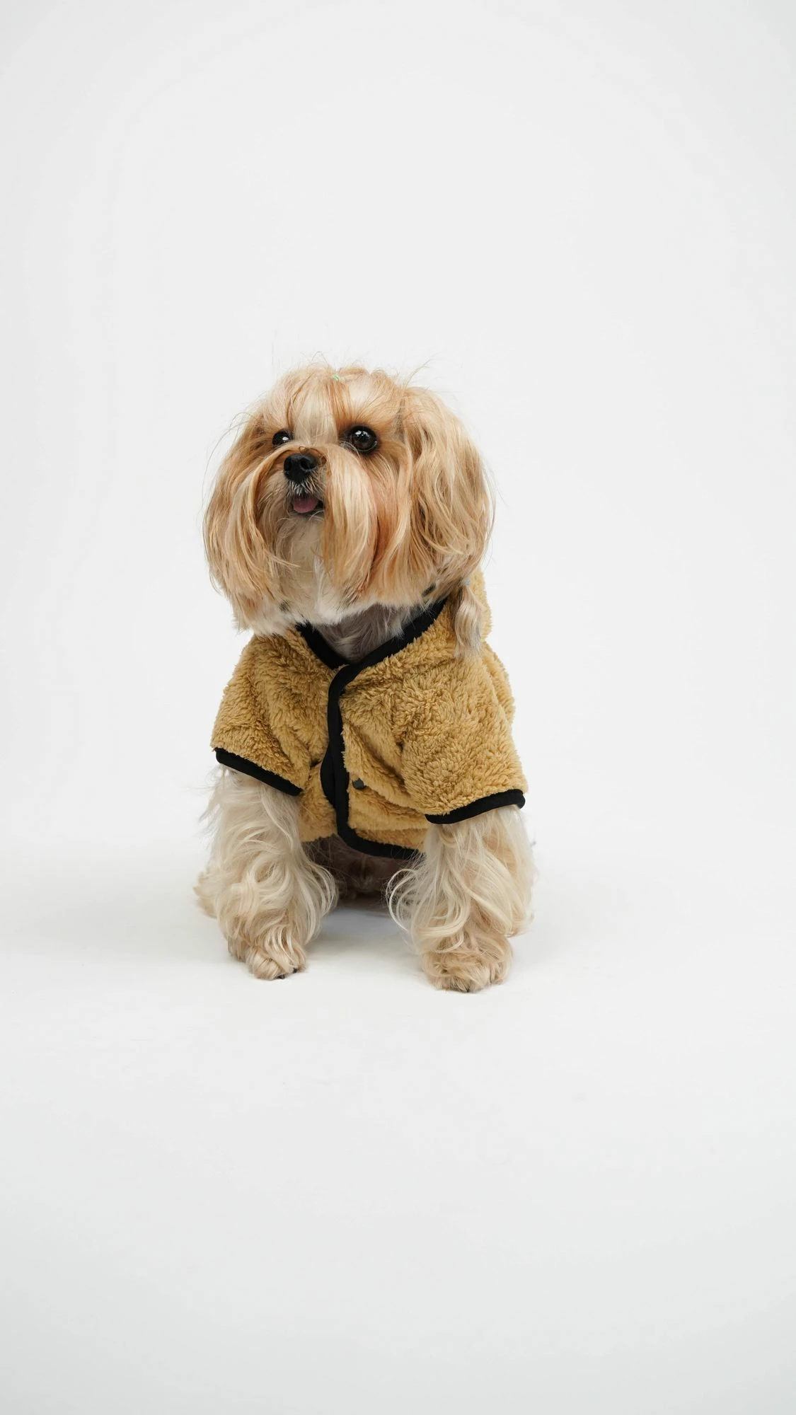 Hudi për qen, teddy welsoft, e gjelbër, Paws & Whiskers