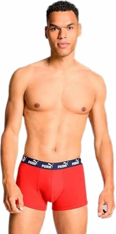 Të brendshme boxer Puma për meshkuj, gri