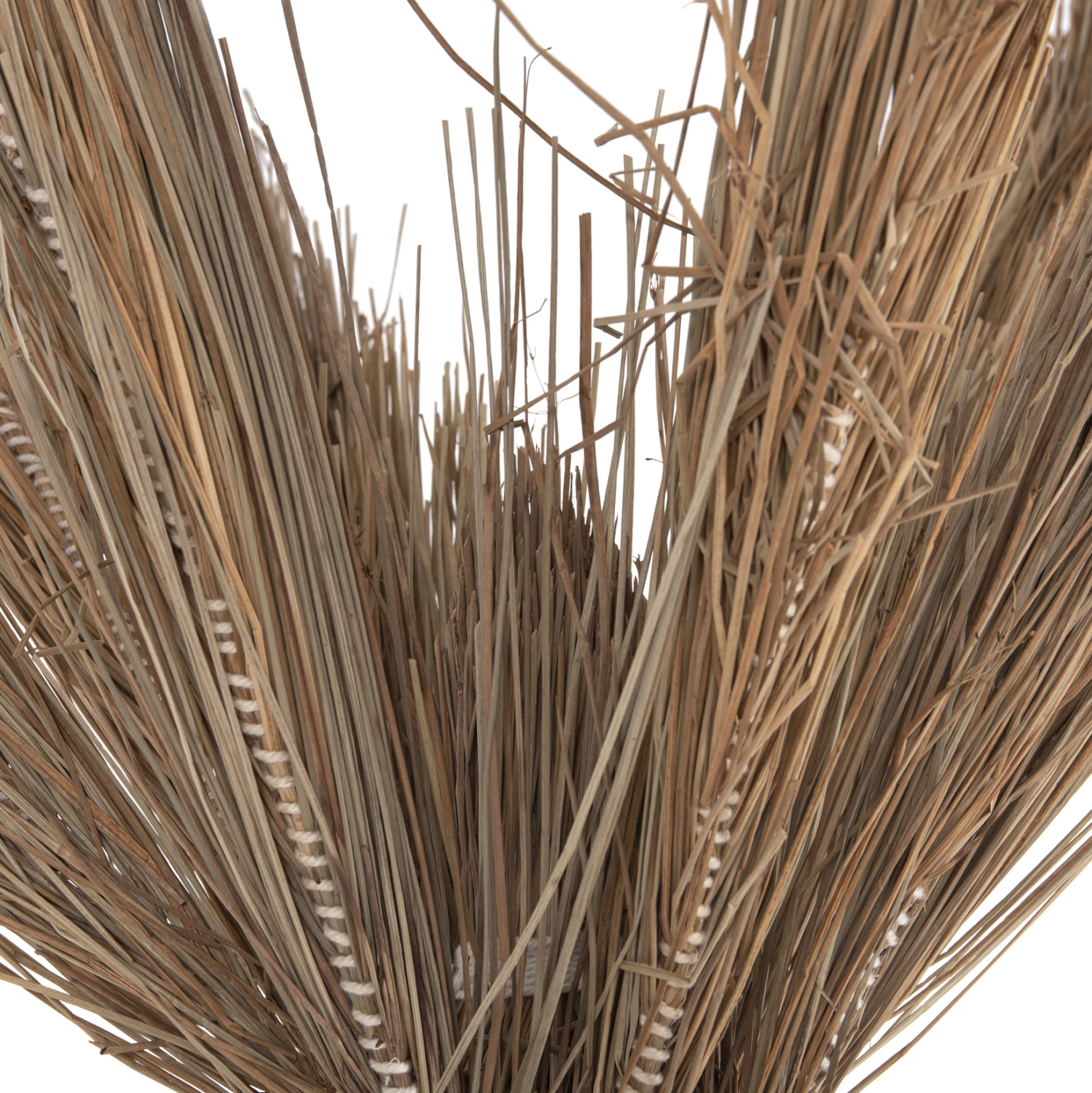 Pemë dekorative tropike, stil kokosi, FH4324, bar Mendong, 280Hcm