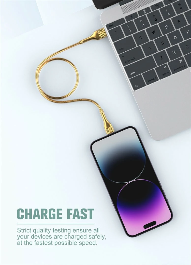 Kabllo E Karikimit LDNIO LS651 (Ari)