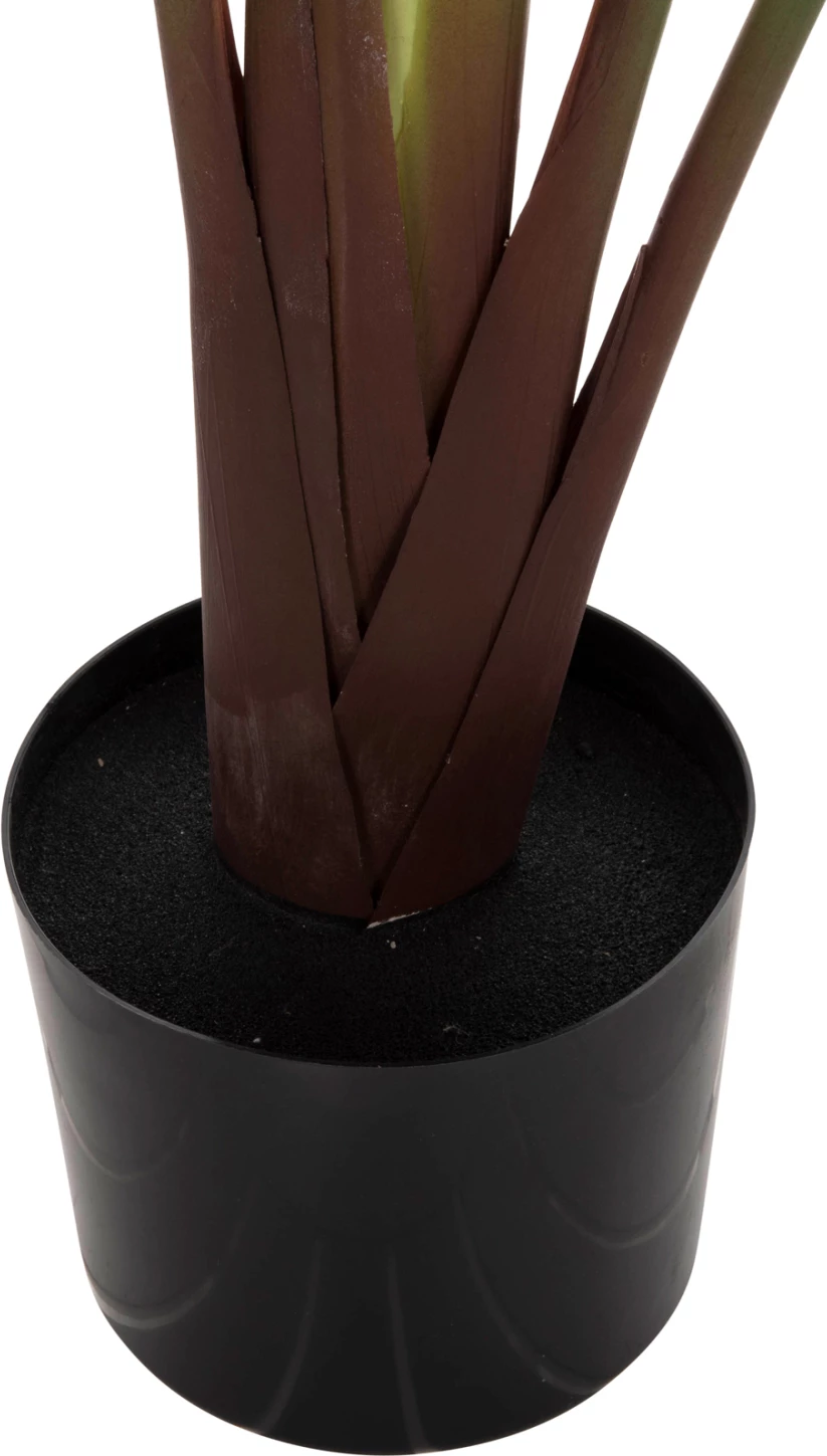 Bimë sintetike dekorative në vazo, FH7981, Strelitziaceae, Φ17x14,5-137Hcm