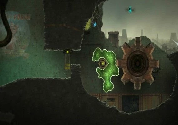 Mushroom 11 EN Global