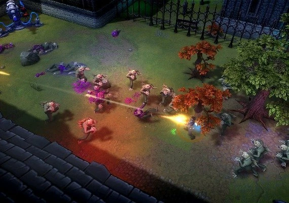 Tesla Force EN Global