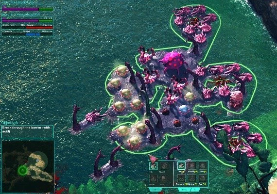 Moduwar EN Global