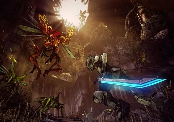 Borderlands - The Handsome Collection EN Global