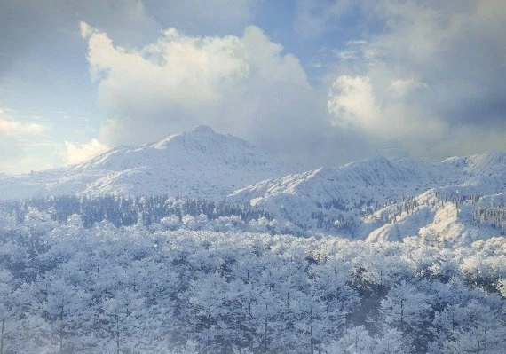 theHunter: Call of the Wild - Medved-Taiga DLC Global