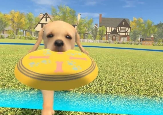 Dream Pets VR EN/JA Global