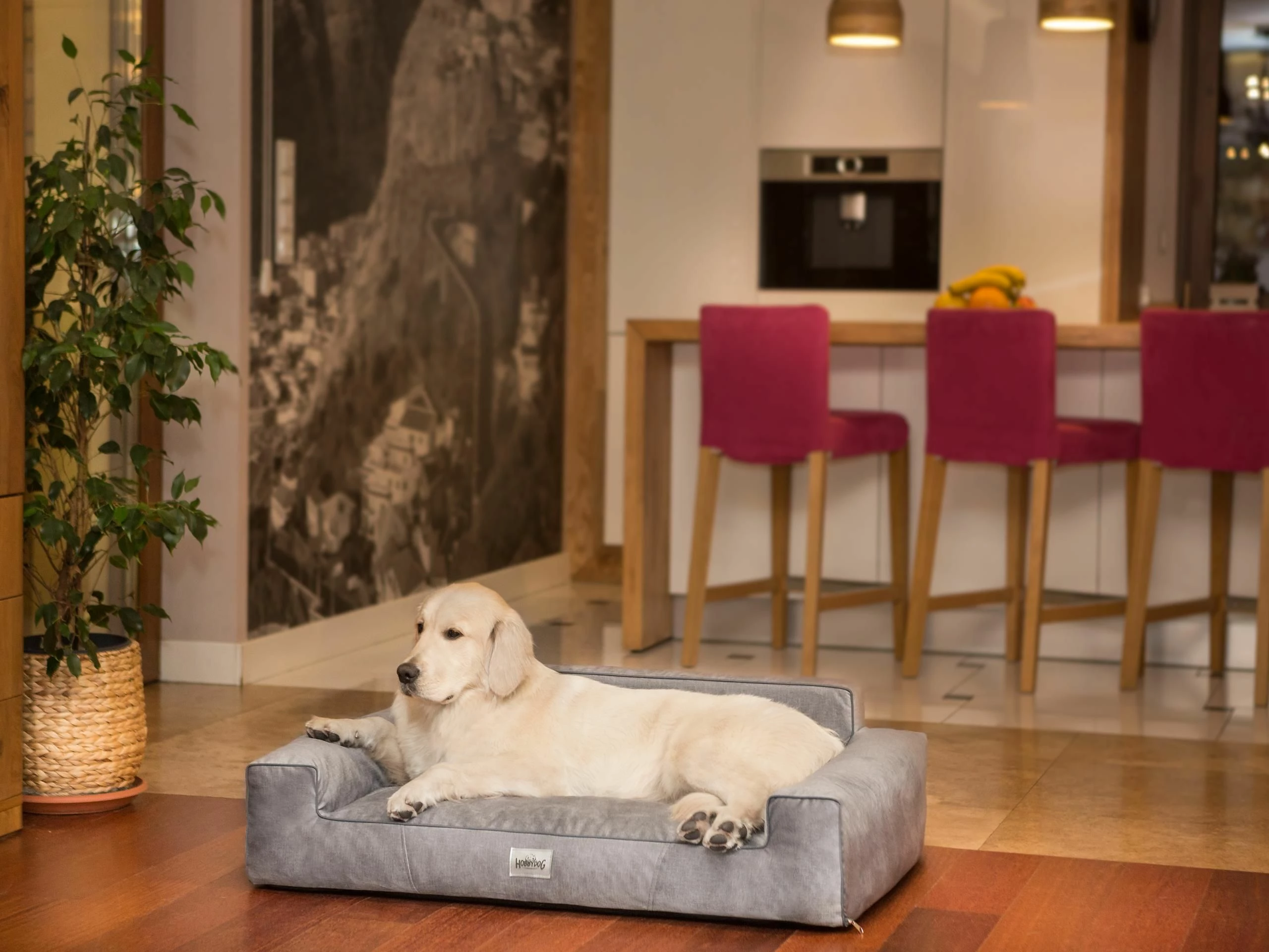 Shtrat për qen Hobbydog Glamour, 98×66 cm, lartësi 28 cm, dyshek 12 cm, gri