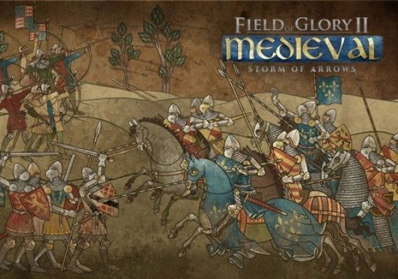 Field of Glory II: Medieval - Storm of Arrows DLC EN/DE/FR/ES Global