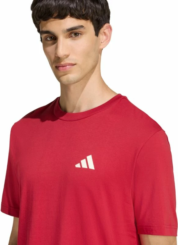 Maicë meshkuj adidas Outdoor Mountain Biking Graphic KB2538, e kuqe [Madhësia: L]