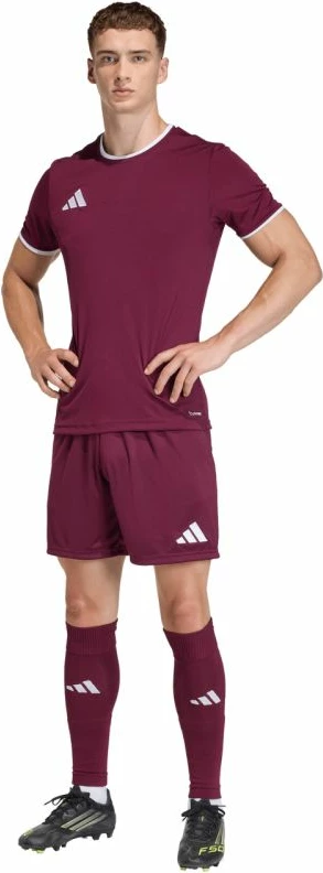 Shorce për meshkuj adidas Entrada 26 JZ2514, të kuqe të errët [Madhësia: L]
