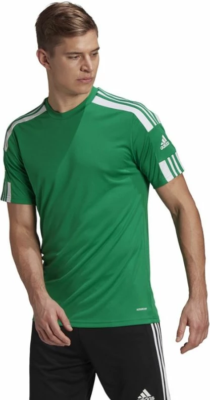 Fanellë futbolli për meshkuj adidas, e gjelbër [Madhësia: XL]