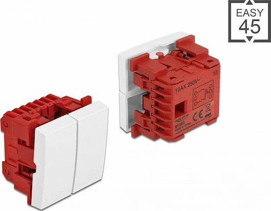 Switch DeLOCK Easy 45 2-gang 1P 10A 250V, 45x45mm, i bardhë