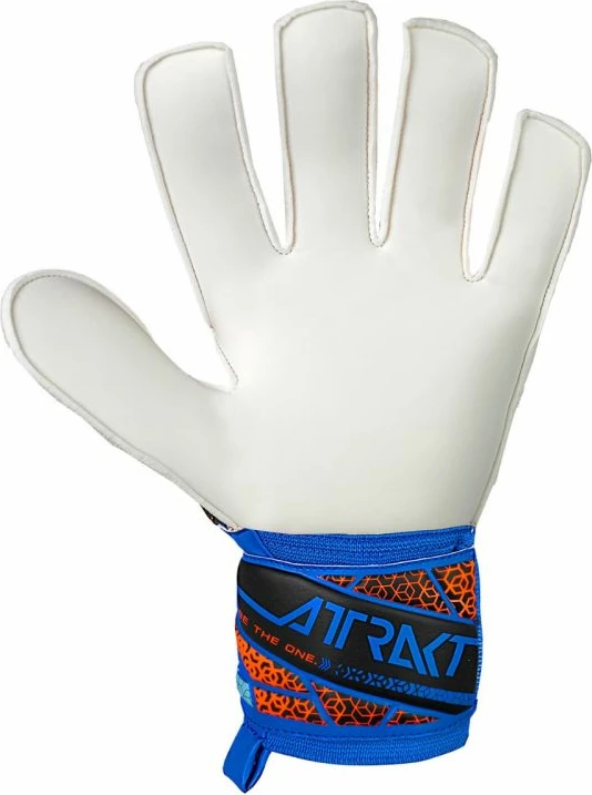 Dorëza portieri Reusch për meshkuj, të zeza dhe blu