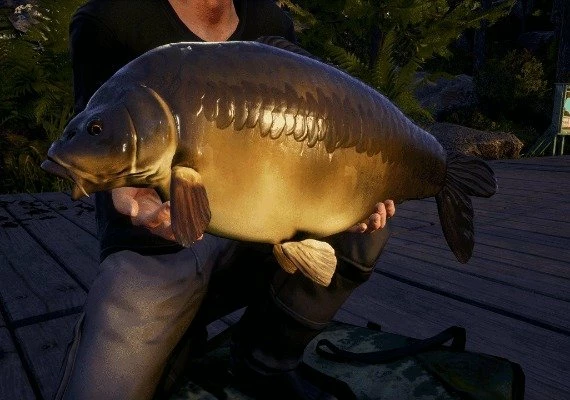 Euro Fishing - Waldsee DLC EN/DE/FR/PL/RU Global