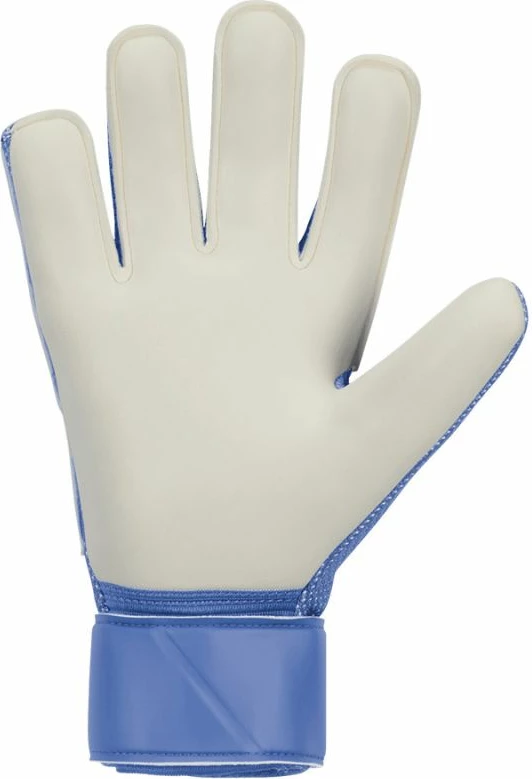 Doreza portieri Nike Match Jr HQ0257-494 [Madhësia: 8]