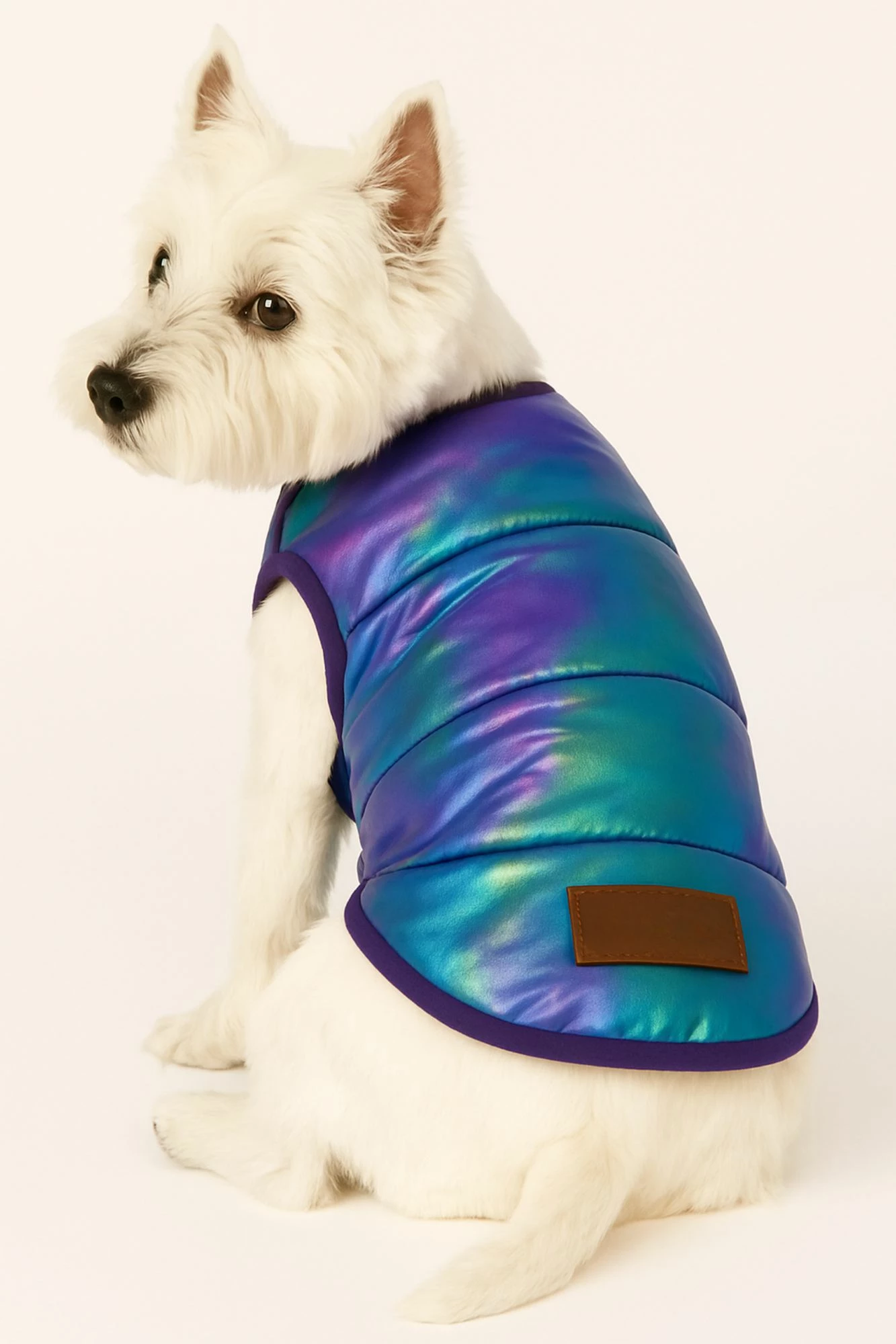 Hudi për qen, Paws & Whiskers, xhaketë metalike purplejacket