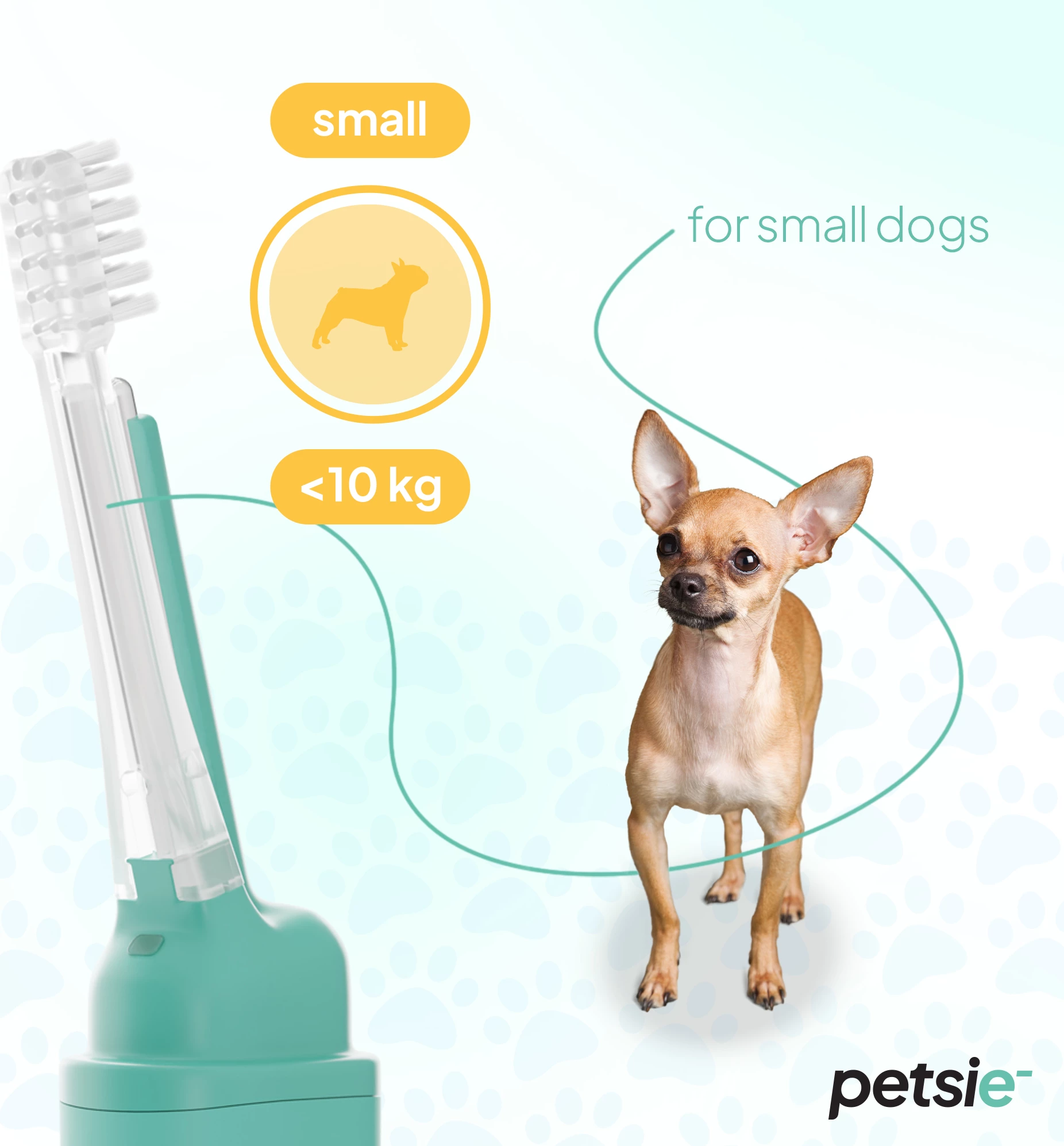 Petsie replacement heads - Kokat zëvendësuese të furçave Petsie