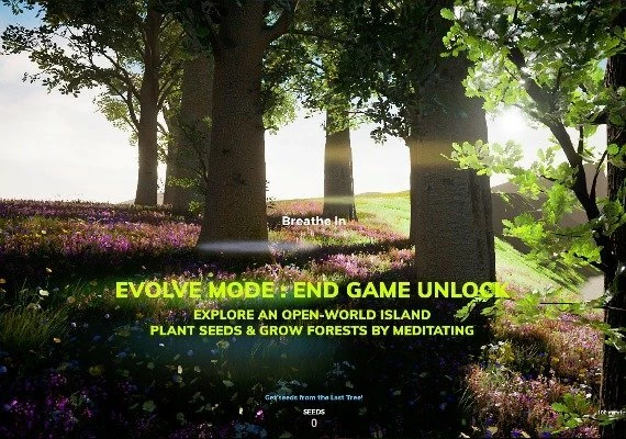 Playne: The Meditation Game EN/FR/IT/PL/PT/ES/HU Global