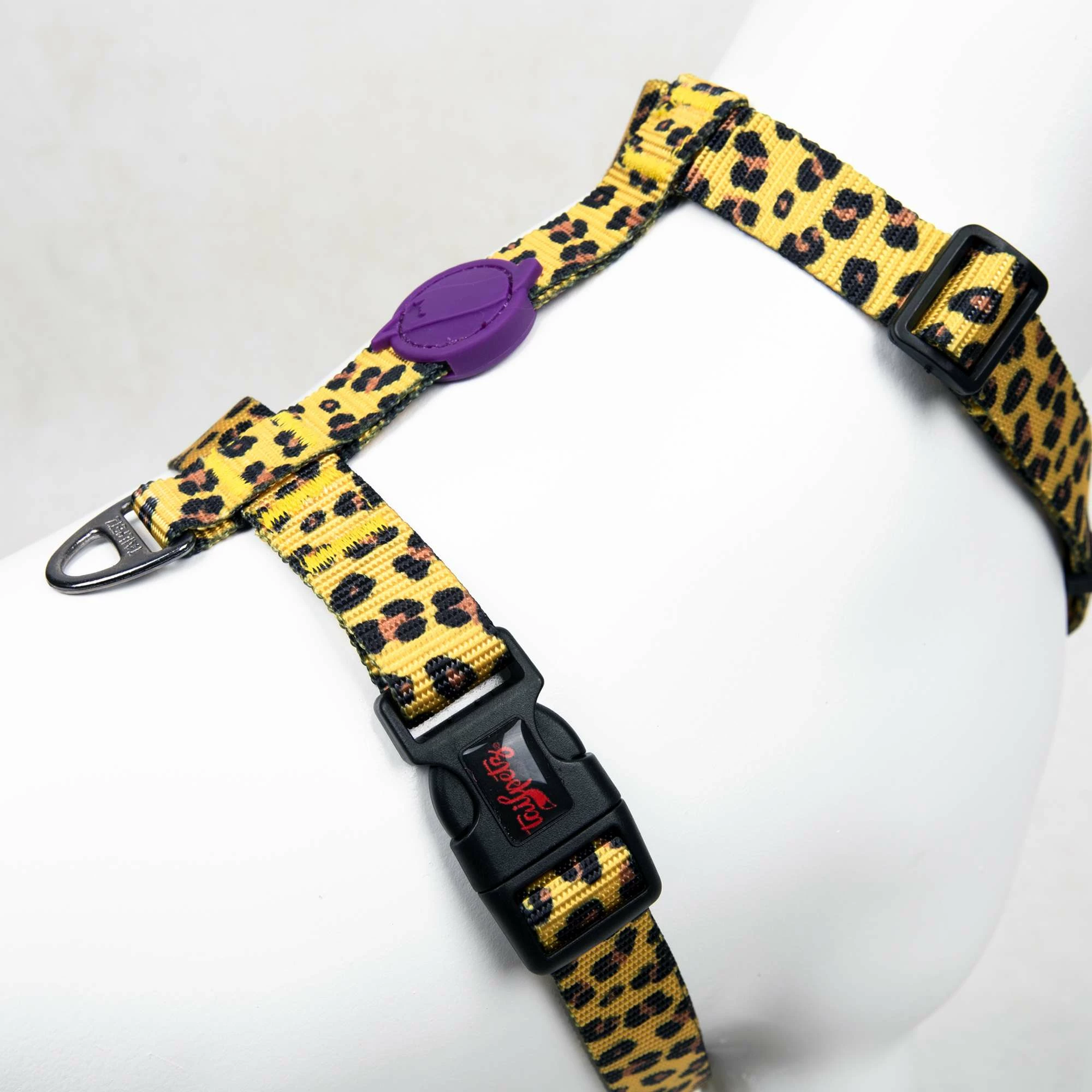 Parzmore për qen, leopard, Paws & Whiskers