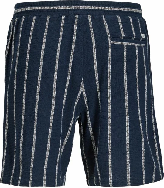 Shorce për meshkuj Jack&Jones JPSTJAIDEN COBA STRIPE JOG SHORTS REG SN 12274413, sky captain/stripes [Madhësia: XL]