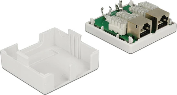 Prizë rrjeti DeLOCK 2x RJ-45 Cat.6, e bardhë