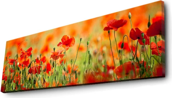 Pikturë dekorative me drita LED, shumëngjyrëshe, Wallity, 3090İACT-13, 30x90cm