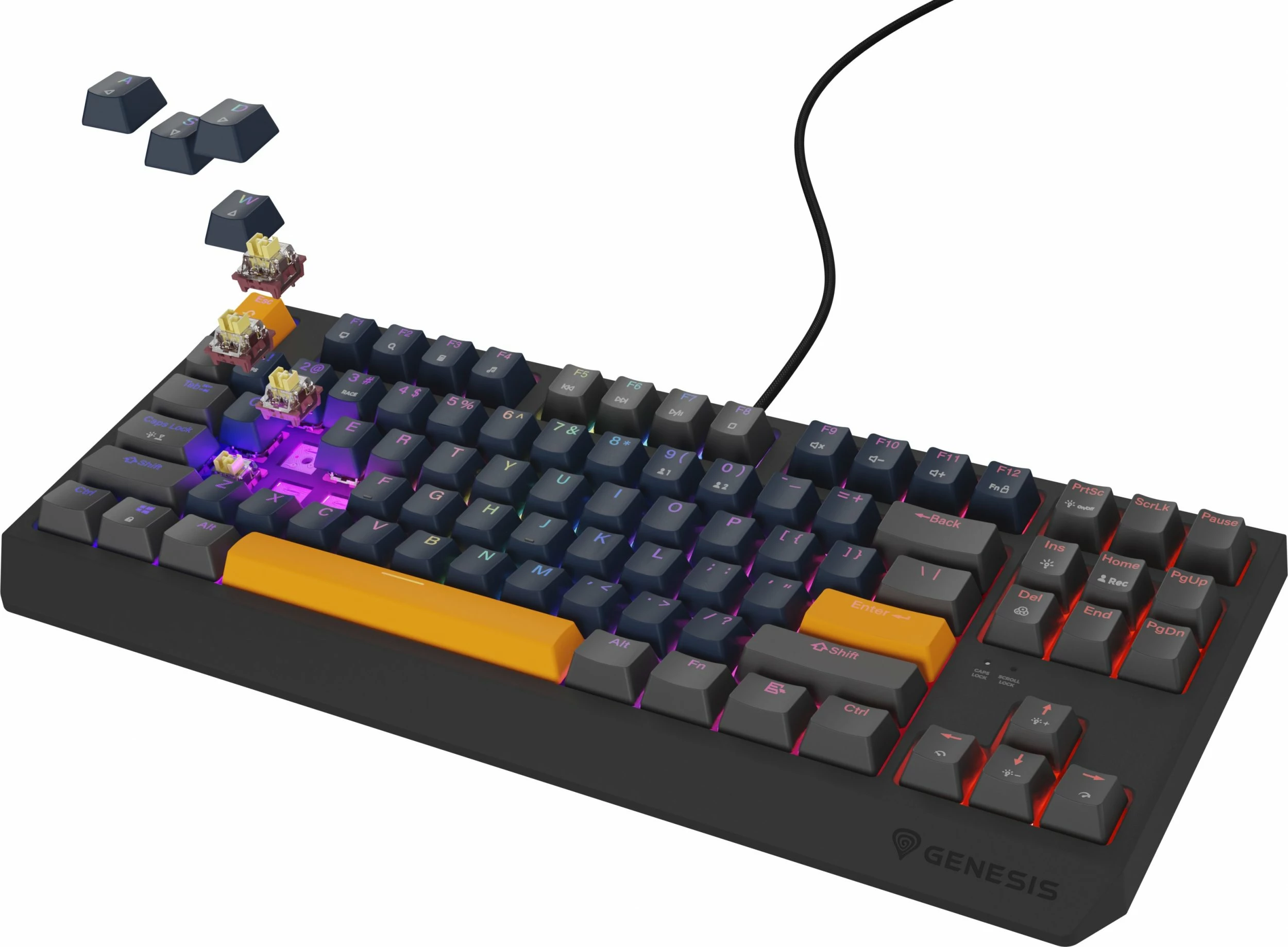 Tastierë mekanike gaming Genesis Thor 230 TKL NKG-2163, Outemu Panda, USB, RGB, layout US, Hot Swap, blu