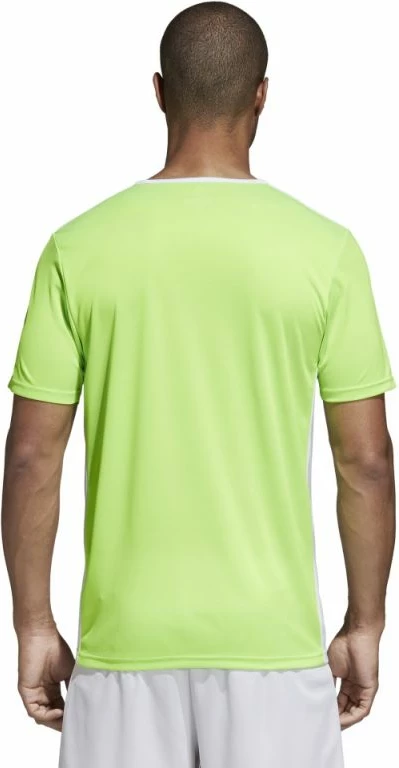 Fanellë futbolli për meshkuj dhe fëmijë adidas, e gjelbër [Madhësia: 128 cm]