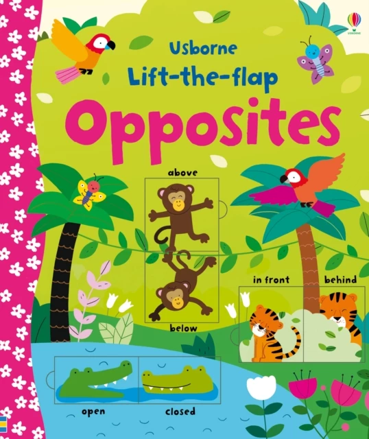 Lift the flap opposites, autori Felicity Brooks