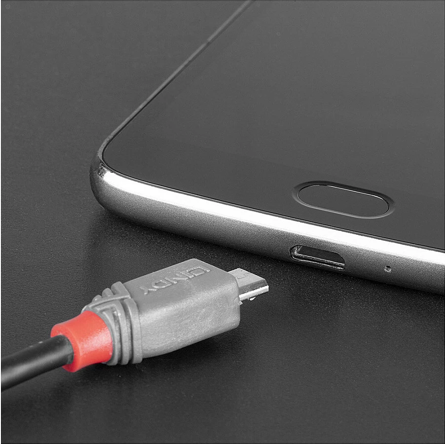 Kabllo USB 2.0 LINDY Anthra Line, USB-C në Micro-B, 2m, e zezë/gri