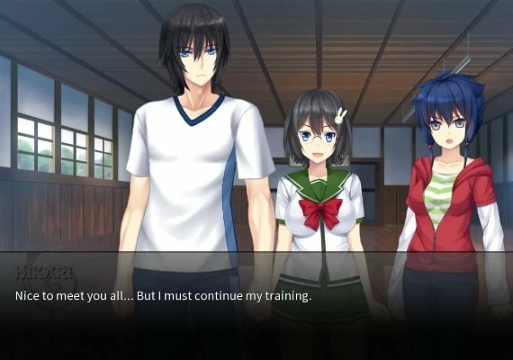 Sword of Asumi Deluxe Edition EN Global