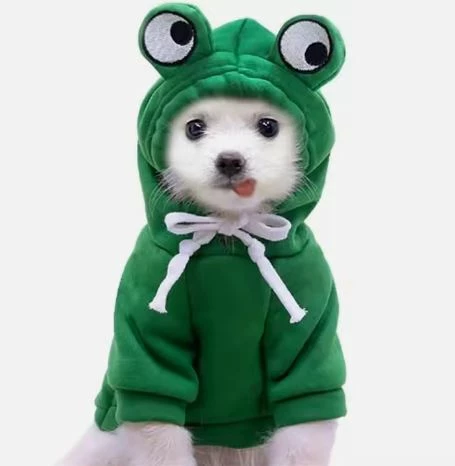 Kostum për kafshë shtëpiake KKS1, me bretkosë, S