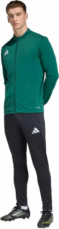 Duks për meshkuj adidas, i gjelbër