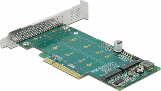 Kartë zgjerimi PCIe DeLOCK, 2x M.2 NVMe Key M, PCIe 4.0, low-profile