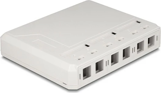 Kuti Keystone DeLOCK 6-port, për fibër optike dhe rrjet, e bardhë