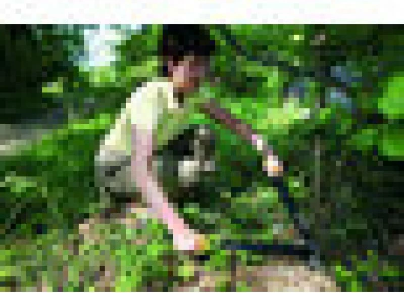 gërshërë krasitjeje me doreza të gjata Fiskars PowerGear Bypass Lopper Medium L74 (1000582), 57 cm, prerje deri 38 mm, zi/portokalli/jeshile