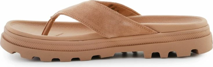 Papuqe femra Palladium, kafe